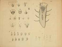  no thumbnail available