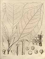  no thumbnail available