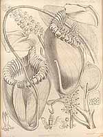  no thumbnail available