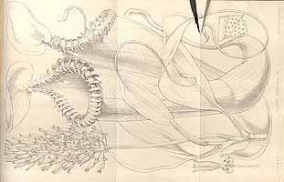  no thumbnail available