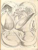  no thumbnail available