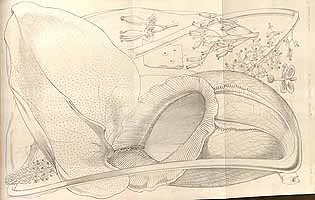  no thumbnail available