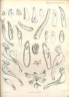  no thumbnail available