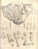  no thumbnail available