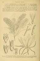  no thumbnail available