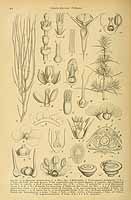  no thumbnail available