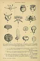  no thumbnail available