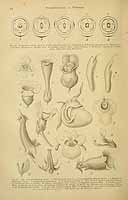  no thumbnail available