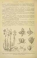  no thumbnail available