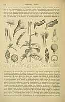  no thumbnail available