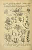  no thumbnail available