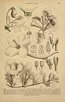  no thumbnail available