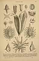  no thumbnail available