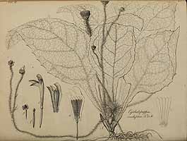  no thumbnail available