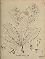  no thumbnail available