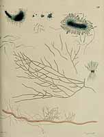  no thumbnail available