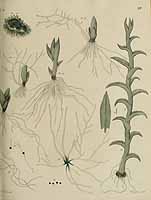  no thumbnail available