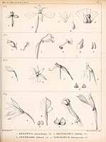  no thumbnail available