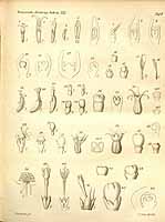  no thumbnail available