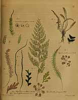  no thumbnail available