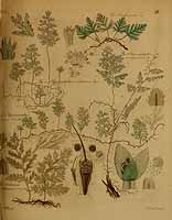  no thumbnail available