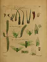  no thumbnail available