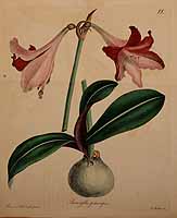  no thumbnail available