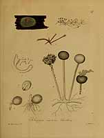  no thumbnail available