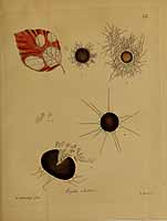  no thumbnail available