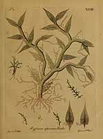  no thumbnail available