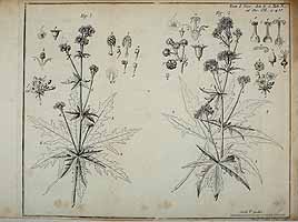  no thumbnail available