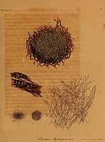  no thumbnail available