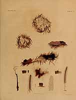  no thumbnail available