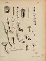  no thumbnail available