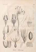  no thumbnail available