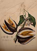  no thumbnail available