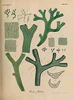  no thumbnail available