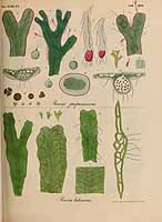  no thumbnail available