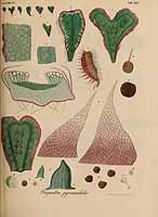  no thumbnail available