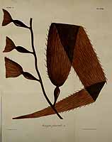  no thumbnail available