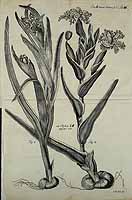  no thumbnail available