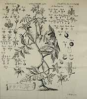  no thumbnail available