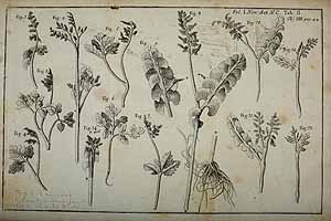  no thumbnail available