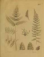  no thumbnail available