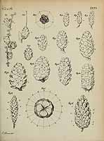  no thumbnail available