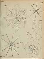  no thumbnail available