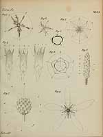  no thumbnail available