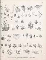  no thumbnail available