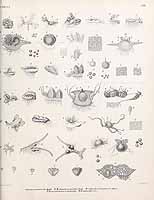  no thumbnail available