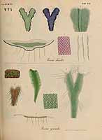  no thumbnail available